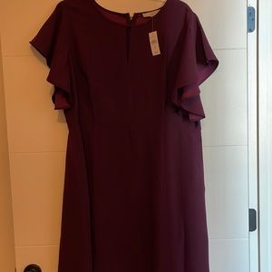 Plum Shift Dress NWT